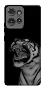 Чохол Black tiger для Motorola Edge 50