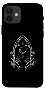 Чохол Gothic roses для iPhone 12