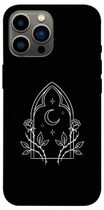 Чехол Gothic roses для iPhone 12 Pro Max