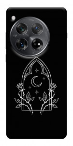 Чехол Gothic roses для OnePlus 12