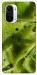 Чехол Ice matcha для Xiaomi Mi 11i