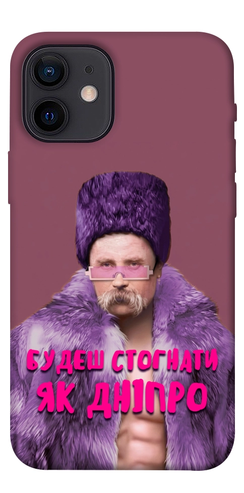Чохол Шевченко–Дніпро для iPhone 12 mini