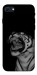 Чехол Black tiger для iPhone SE (2022)