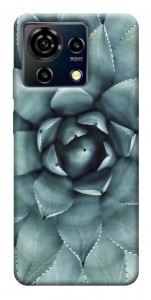 Чохол Сукуленти для ZTE Blade V50 Vita