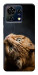 Чохол Рудий кіт для ZTE Blade V50 Vita