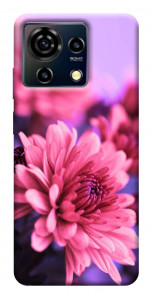 Чохол Ніжна хризантема для ZTE Blade V50 Vita