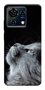Чохол Cute cat для ZTE Blade V50 Vita