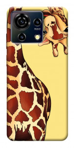 Чохол Cool giraffe для ZTE Blade V50 Vita