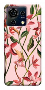 Чохол Floral motifs для ZTE Blade V50 Vita