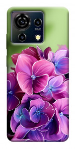 Чохол Мереживна гортензія для ZTE Blade V50 Vita