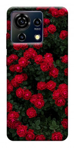 Чохол Eternal roses для ZTE Blade V50 Vita