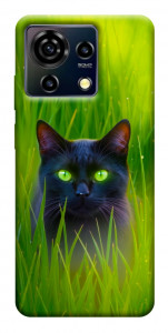 Чохол Cat in the grass для ZTE Blade V50 Vita