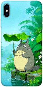 Чохол My friend totoro для iPhone XS