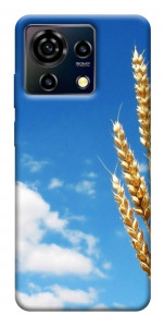 Чохол Пшениця для ZTE Blade V50 Vita