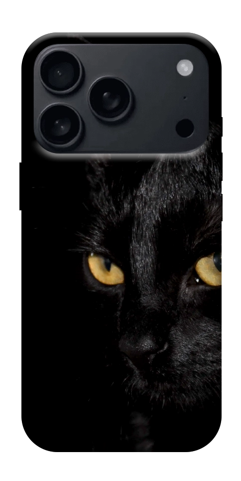 Чехол Черный кот для iPhone 18 Pro