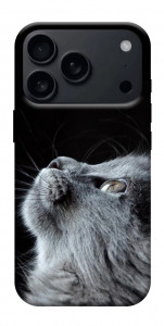 Чехол Cute cat для iPhone 18 Pro