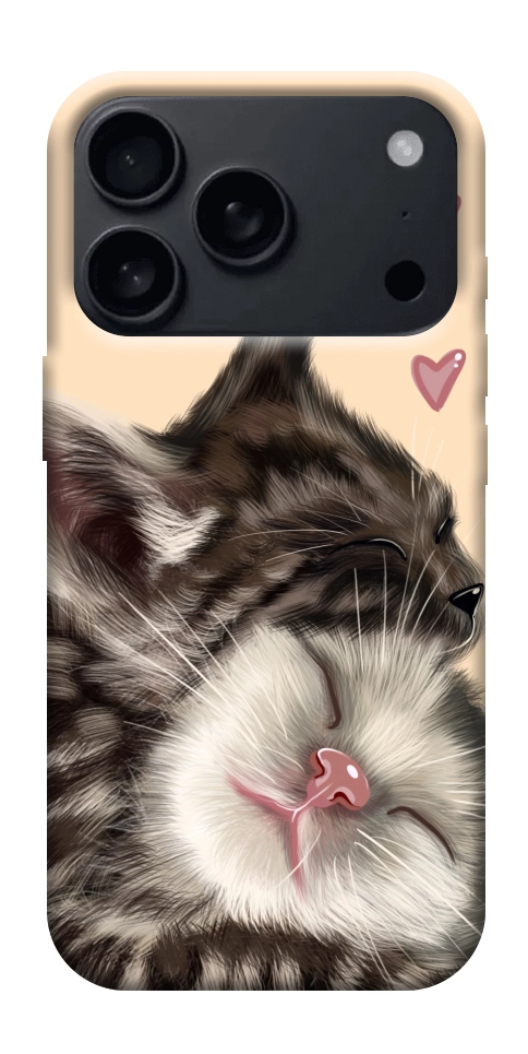 Чехол Cats love для iPhone 18 Pro