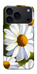 Чехол Ароматная ромашка для iPhone 18 Pro