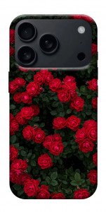 Чехол Eternal roses для iPhone 18 Pro