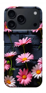 Чехол Розовый контраст для iPhone 18 Pro