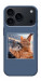 Чехол Кошачья нежность для iPhone 18 Pro