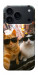 Чехол Cool cats city для iPhone 18 Pro