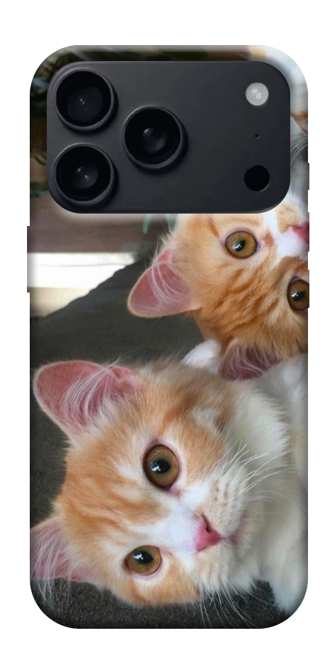 Чехол Fluffy Duo для iPhone 18 Pro