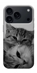 Чехол Grey cats для iPhone 18 Pro