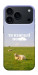 Чехол Та взагалі.... для iPhone 18 Pro