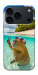 Чехол Сapybara vacation для iPhone 18 Pro