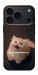 Чохол Все пропало для iPhone 18 Pro