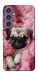 Чохол Мопс у ніжностях для Galaxy S23 FE