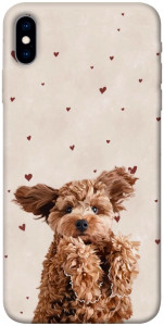 Чехол Сute doggy для iPhone XS