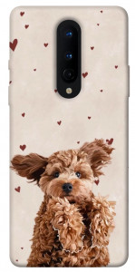 Чохол Сute doggy для OnePlus 8