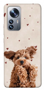 Чохол Сute doggy для Xiaomi 12X