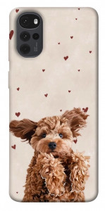 Чохол Сute doggy для Motorola Moto G22