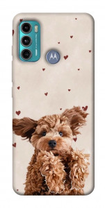 Чохол Сute doggy для Motorola Moto G60