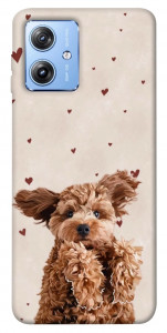Чехол Сute doggy для Motorola Moto G84