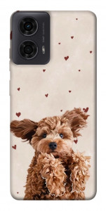 Чехол Сute doggy для Motorola Moto G24