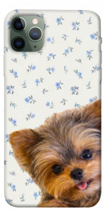 Чехол Cute Yorkie для iPhone 11 Pro Max