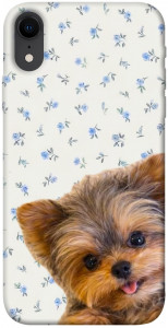 Чехол Cute Yorkie для iPhone XR