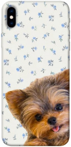 Чехол Cute Yorkie для iPhone XS Max