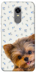 Чехол Cute Yorkie для Xiaomi Redmi 5 Plus