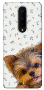 Чохол Cute Yorkie для OnePlus 8