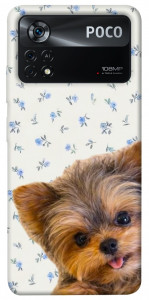 Чохол Cute Yorkie для Xiaomi Poco X4 Pro