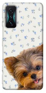 Чехол Cute Yorkie для Xiaomi Redmi K50 Gaming