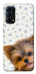 Чохол Cute Yorkie для Oppo Reno 5 4G