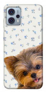 Чохол Cute Yorkie для Motorola Moto G23