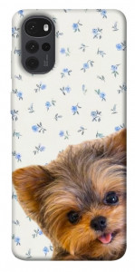 Чохол Cute Yorkie для Motorola Moto G22