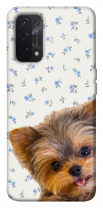 Чохол Cute Yorkie для Oppo A54 5G